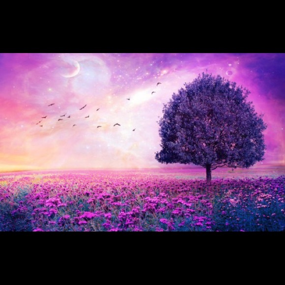 Meet your Posher, B - Picture 1 of 1